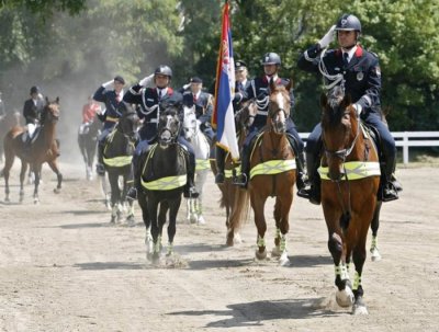 ИНТЕРНИ КОНКУРС "ПОСЕБНА ЈЕДИНИЦА ПОЛИЦИЈЕ, ПОЛИЦИЈСКА БРИГАДА"