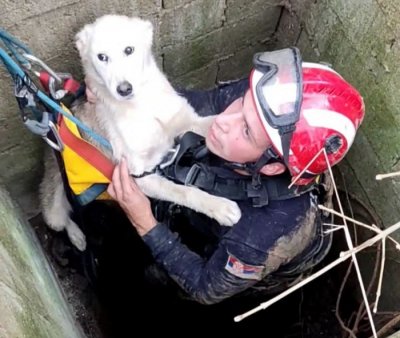 МАЛЕ СТВАРИ, ЧИНЕ ВЕЛИКА ДЕЛА