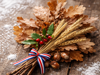 ČESTITKA POVODOM BADNjEG DANA